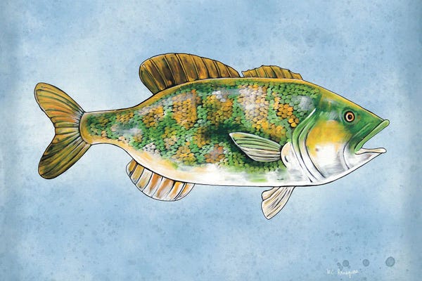 Bass