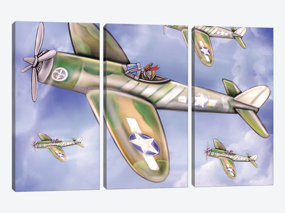 Pelican Airforce by MC Romaguera 3-piece Canvas Artwork