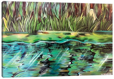 Colorful Bayou Canvas Art Print - Marsh & Swamp Art