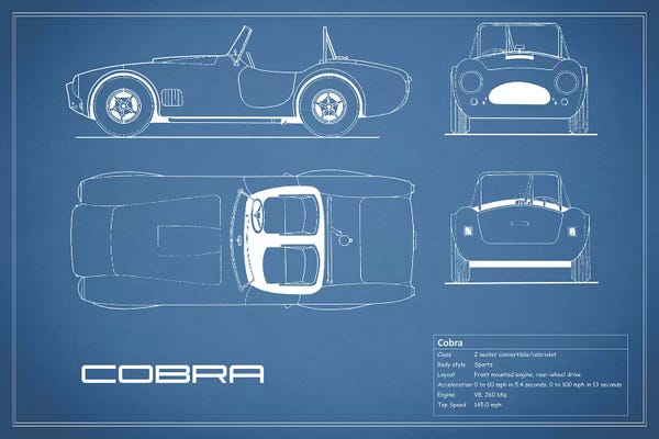 Automobile Blueprints: Shelby Cobra (Blue) by Mark Rogan