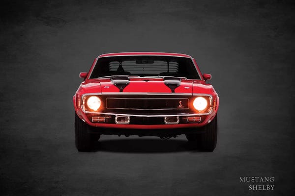 Mark Rogan: 1969 Ford Mustang Shelby by Mark Rogan