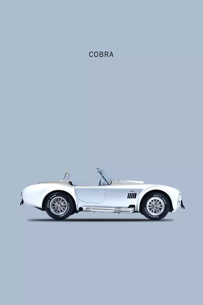 Mark Rogan: 1965 Shelby Cobra by Mark Rogan