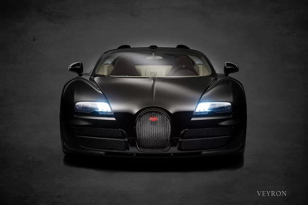 By Land: Bugatti Veyron by Mark Rogan
