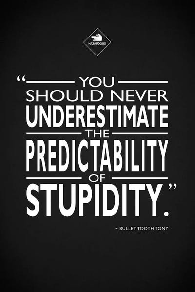 Mark Rogan: Snatch - Stupidity by Mark Rogan