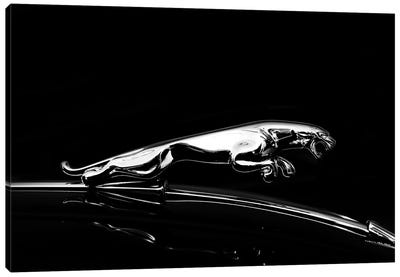 Jaguar Canvas Art Print - Black & Dark Art