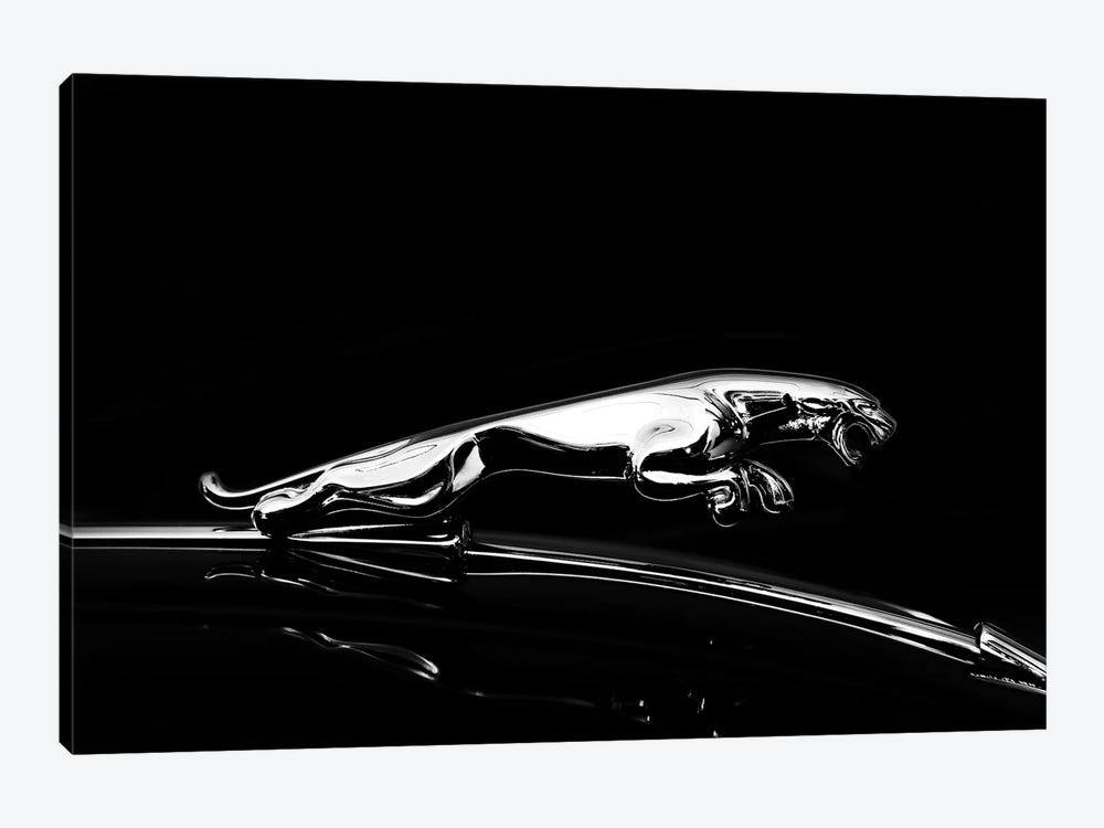 Jaguar by Mark Rogan 1-piece Art Print