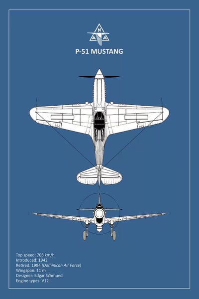 Bp P 51 Mustang Canvas Art By Mark Rogan Icanvas