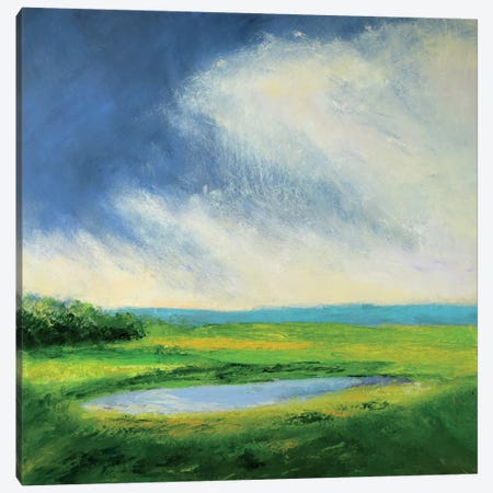 Fordsbush Pond Canvas Print #RGO20} by Rich Gombar Canvas Art Print