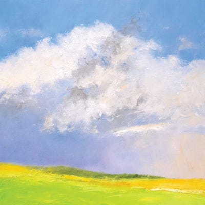 Summer Shower by Rich Gombar canvas print