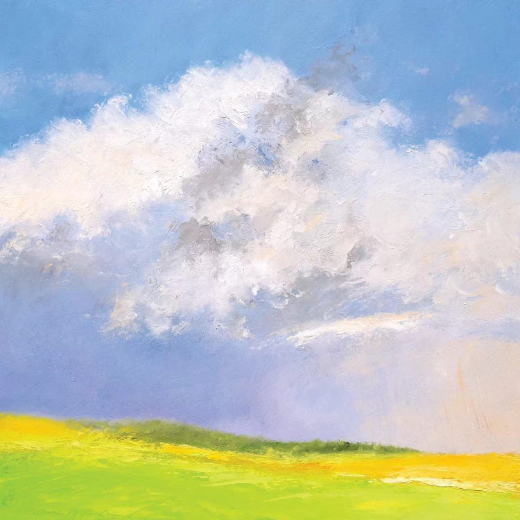 Summer Shower