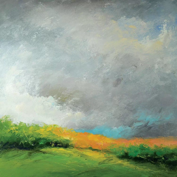 Autumn Storm by Rich Gombar wall art