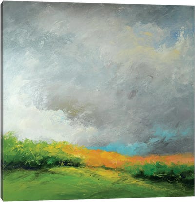 Autumn Storm Canvas Art Print - Rich Gombar