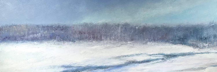 Beaver Meadow by Rich Gombar wall art