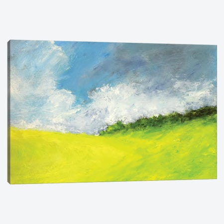 May Clouds Canvas Print #RGO38} by Rich Gombar Canvas Artwork