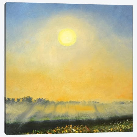 Mist Canvas Print #RGO39} by Rich Gombar Canvas Art