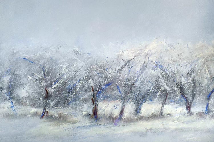 Winter Orchard by Rich Gombar wall art