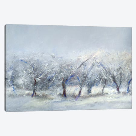 Winter Orchard Canvas Print #RGO41} by Rich Gombar Canvas Art Print