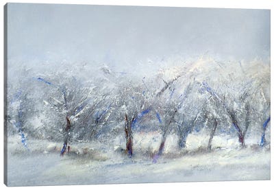 Winter Orchard Canvas Art Print