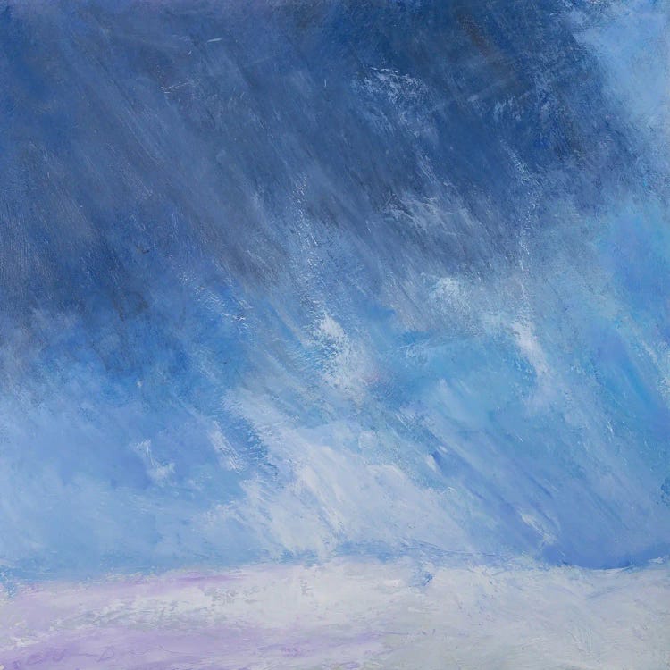 Storm Warning by Rich Gombar wall art