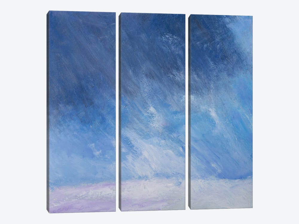 Storm Warning by Rich Gombar 3-piece Art Print