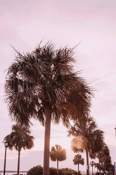 Fine Art Print: Blush Summer by Jennifer Rigsby