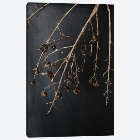 Branches in Noir II Canvas Print #RGS3} by Jennifer Rigsby Canvas Artwork