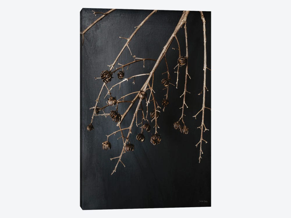 Branches in Noir II by Jennifer Rigsby 1-piece Canvas Artwork