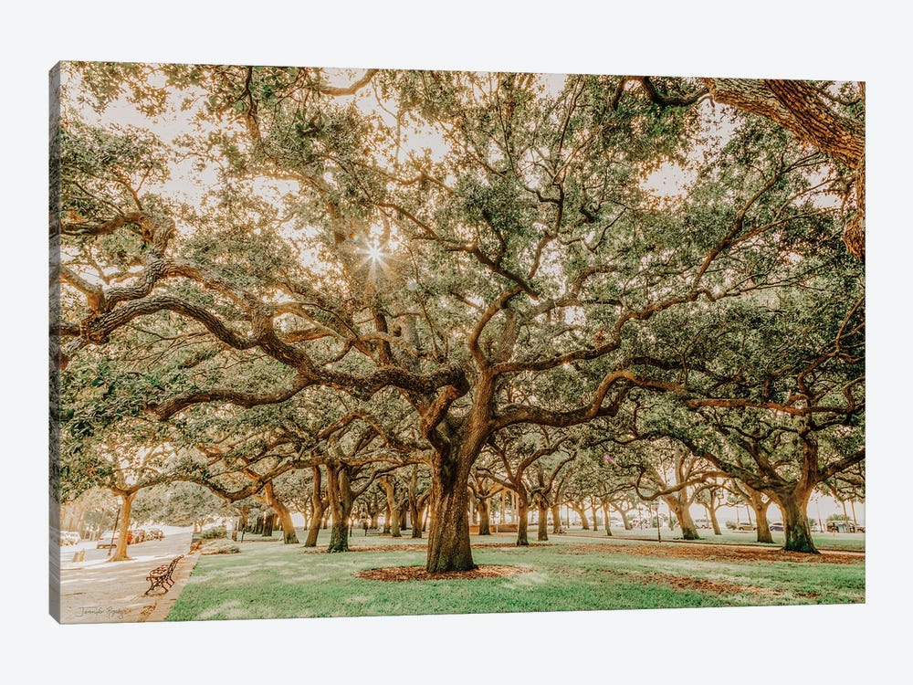 Low Country Oaks II by Jennifer Rigsby 1-piece Canvas Print