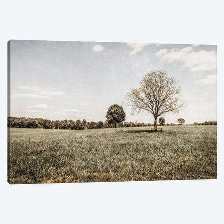 Together in the Fields I Canvas Print #RGS6} by Jennifer Rigsby Art Print