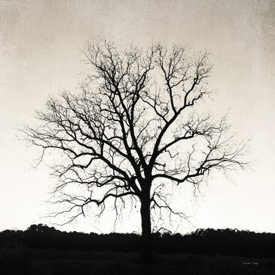 Under Heaven by Jennifer Rigsby framed wall art