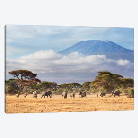 African Elephant Herd In Savanna, Mount Kilimanjaro, Amboseli National Park, Kenya Canvas Print #RGW1} by Richard Garvey-Williams Canvas Art