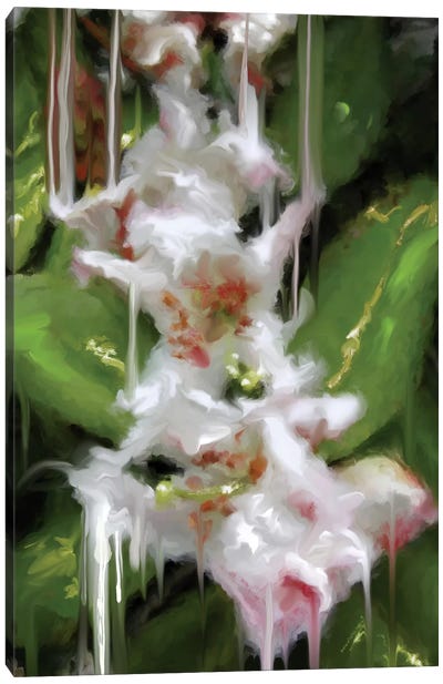 White Flor II Canvas Art Print - Patricia Rodriguez