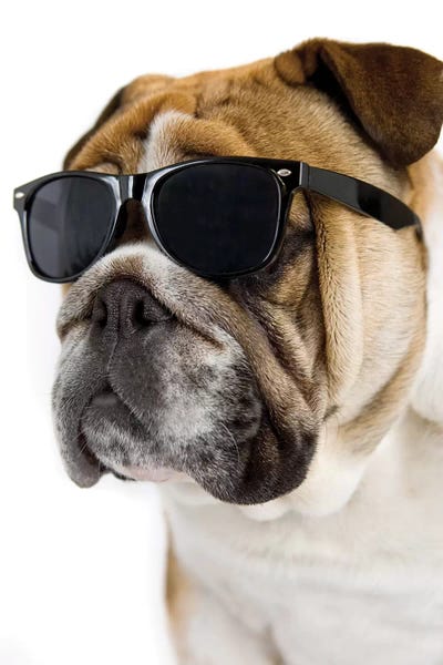 Rachael Hale: George by Rachael Hale