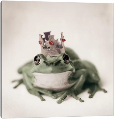 King Geoffrey Canvas Art Print - Frog Art