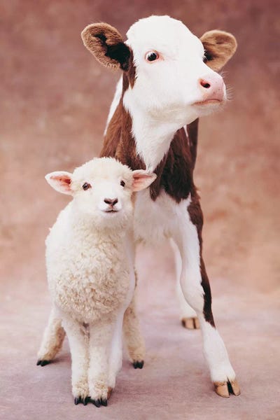 Rachael Hale: Mallowpuff And Romeo I by Rachael Hale