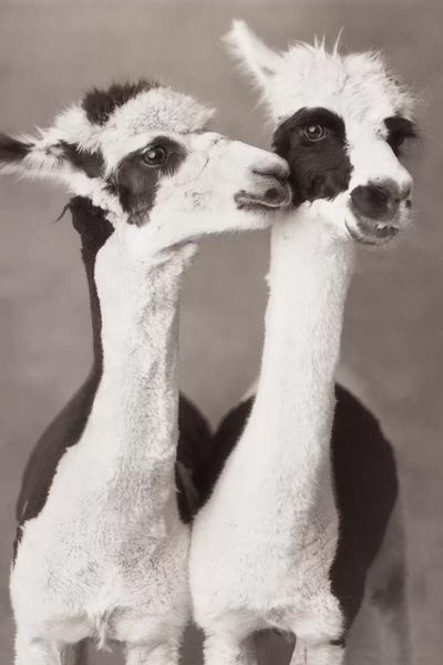 Stormy And Lightning by Rachael Hale framed wall art