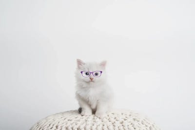 Chloe With Glasses by Rachael Hale canvas print