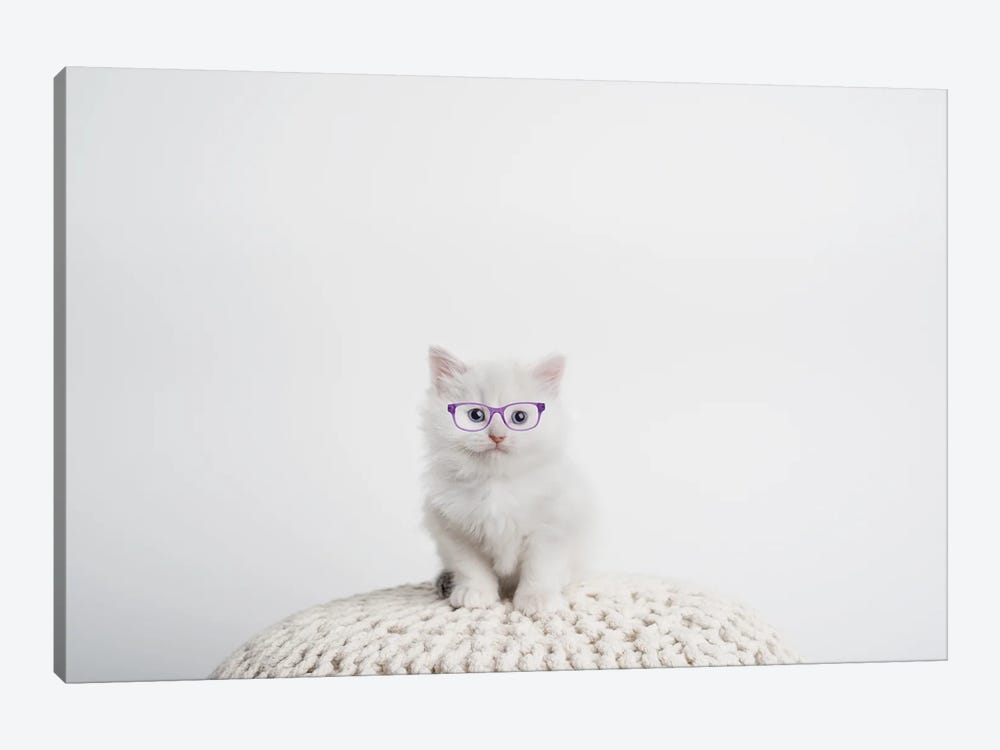 Chloe With Glasses by Rachael Hale 1-piece Canvas Art