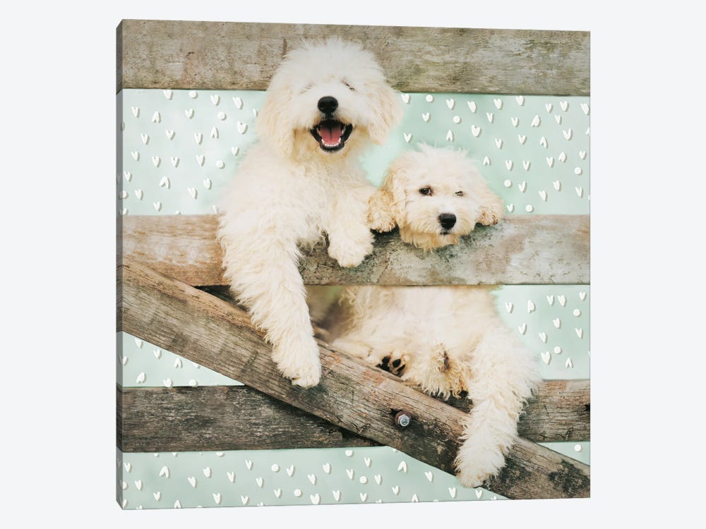 Harley And Felicity by Rachael Hale 1-piece Canvas Print