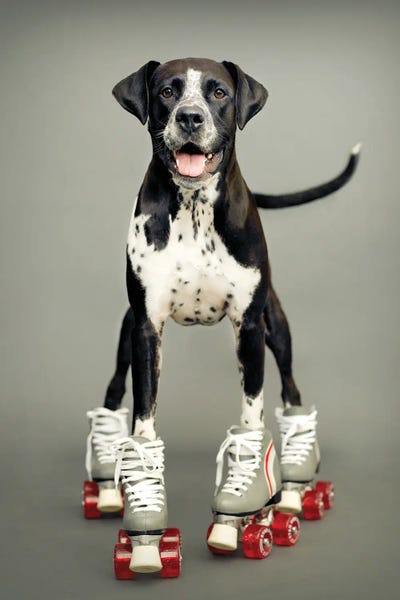 Rachael Hale: Kizzie by Rachael Hale