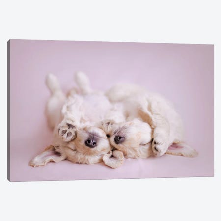 Retrodoodle Puppies Canvas Print #RHA173} by Rachael Hale Art Print