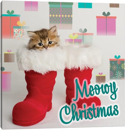 Tutu Meowy Christmas Canvas Art Print - Christmas Animal Art