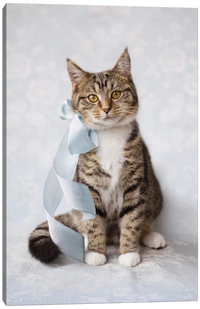 Ziggy Canvas Art Print - Rachael Hale