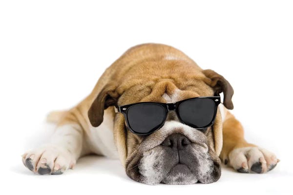 Rachael Hale: George II by Rachael Hale