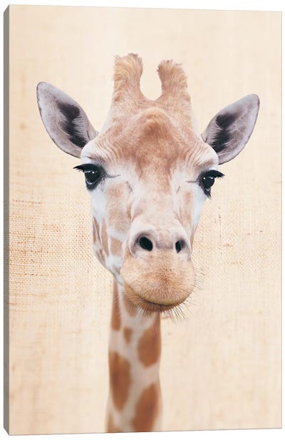 Manyara Canvas Art Print - Giraffe Art