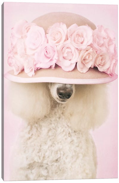 Riot Canvas Art Print - Rachael Hale