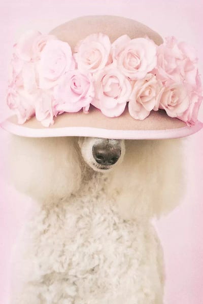 Rachael Hale: Riot by Rachael Hale