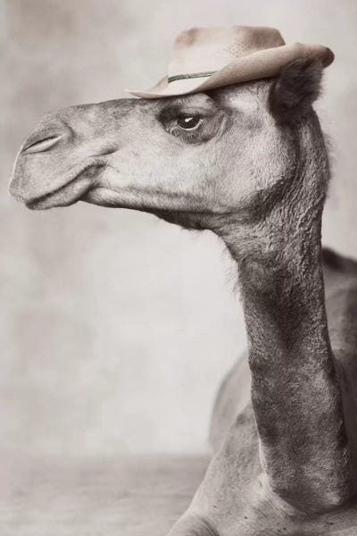 Rachael Hale: Barbie by Rachael Hale