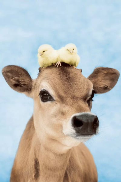 Rachael Hale: Bubba Hudson And Hawk by Rachael Hale