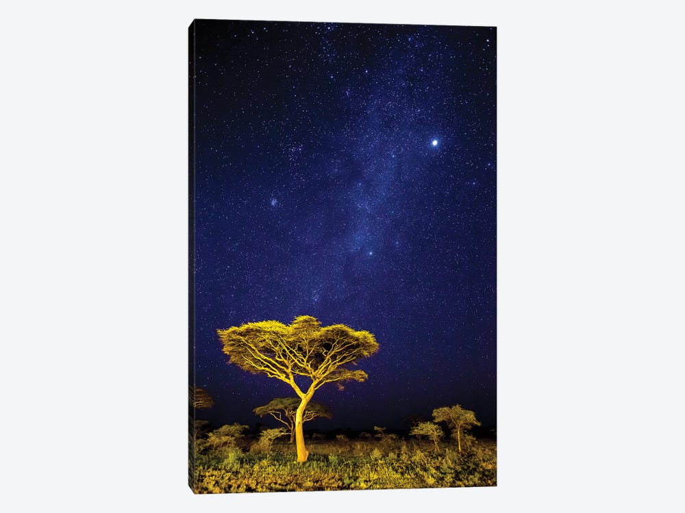 Africa. Tanzania. The Milky Way Illuminate The Night Sky at Ndutu in Serengeti National Park. by Ralph H. Bendjebar 1-piece Canvas Art Print